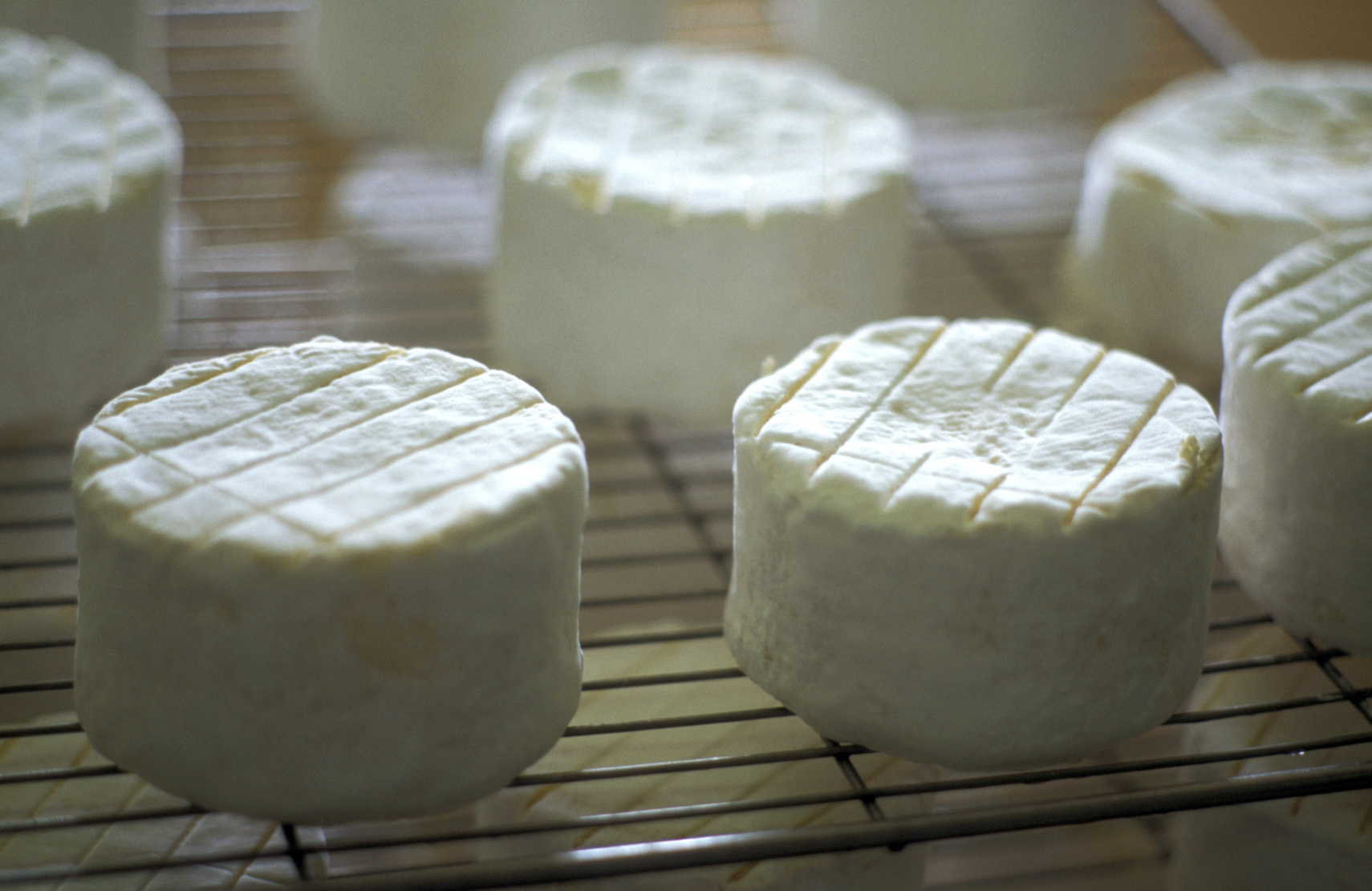 Comment fabriquer son fromage maison
